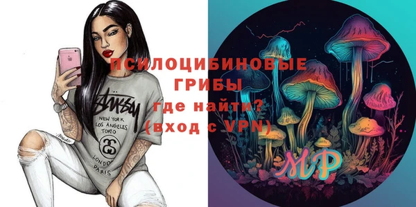ПСИЛОЦИБИНОВЫЕ ГРИБЫ Волосово