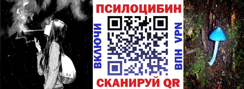 Купить  Бугуруслан  Псилоцибиновые грибы GOLDEN TEACHER 